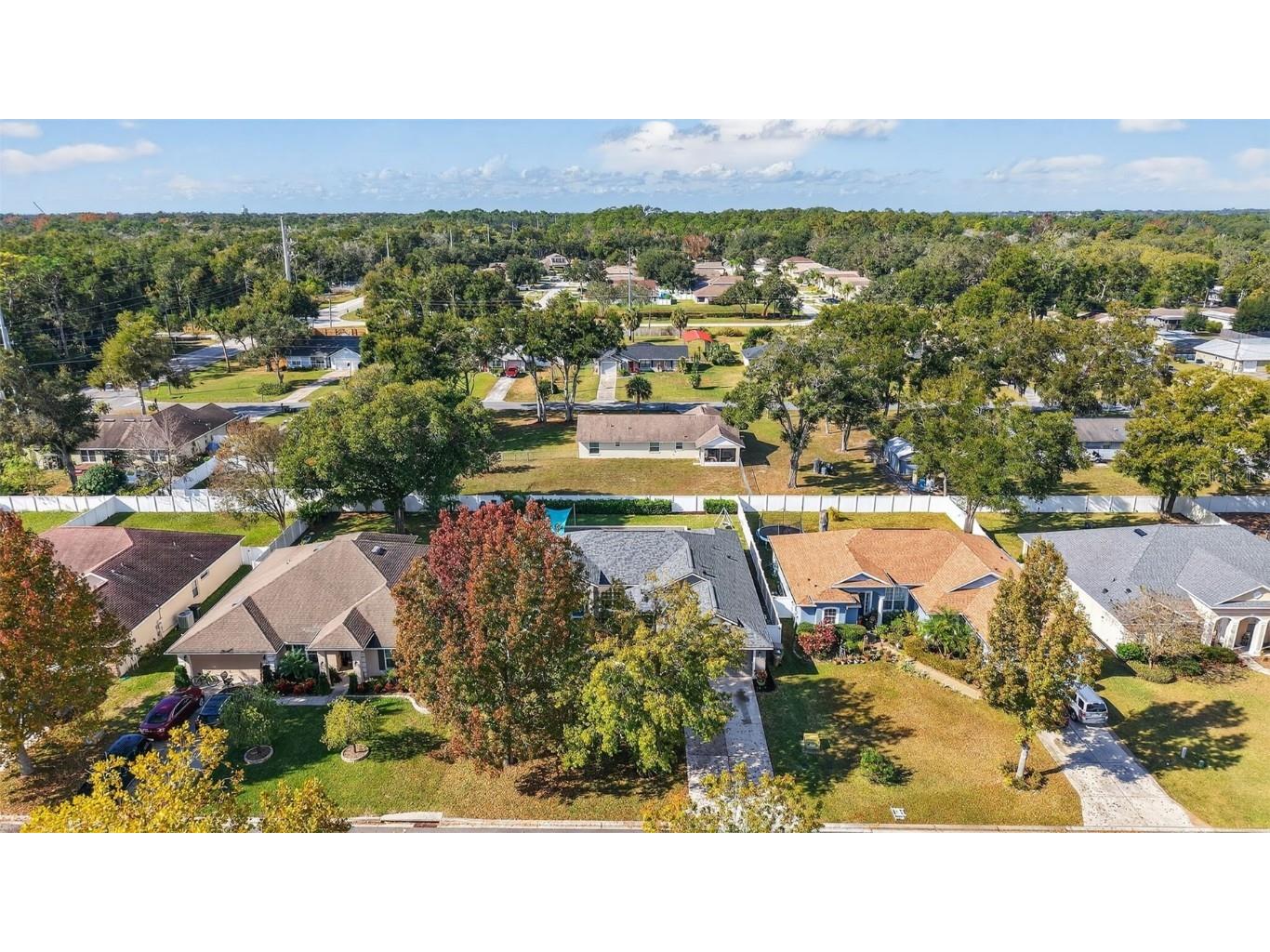 2113 Wolf Ridge Lane Mount Dora FL 32757 G5105043 image49