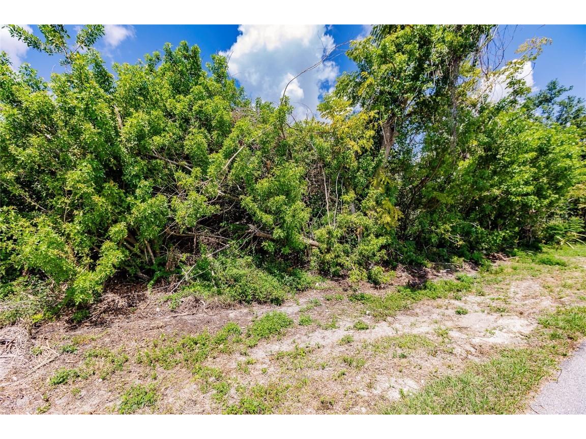 2113 Wonderwin Street Port Charlotte FL 33948 C7474594 image4
