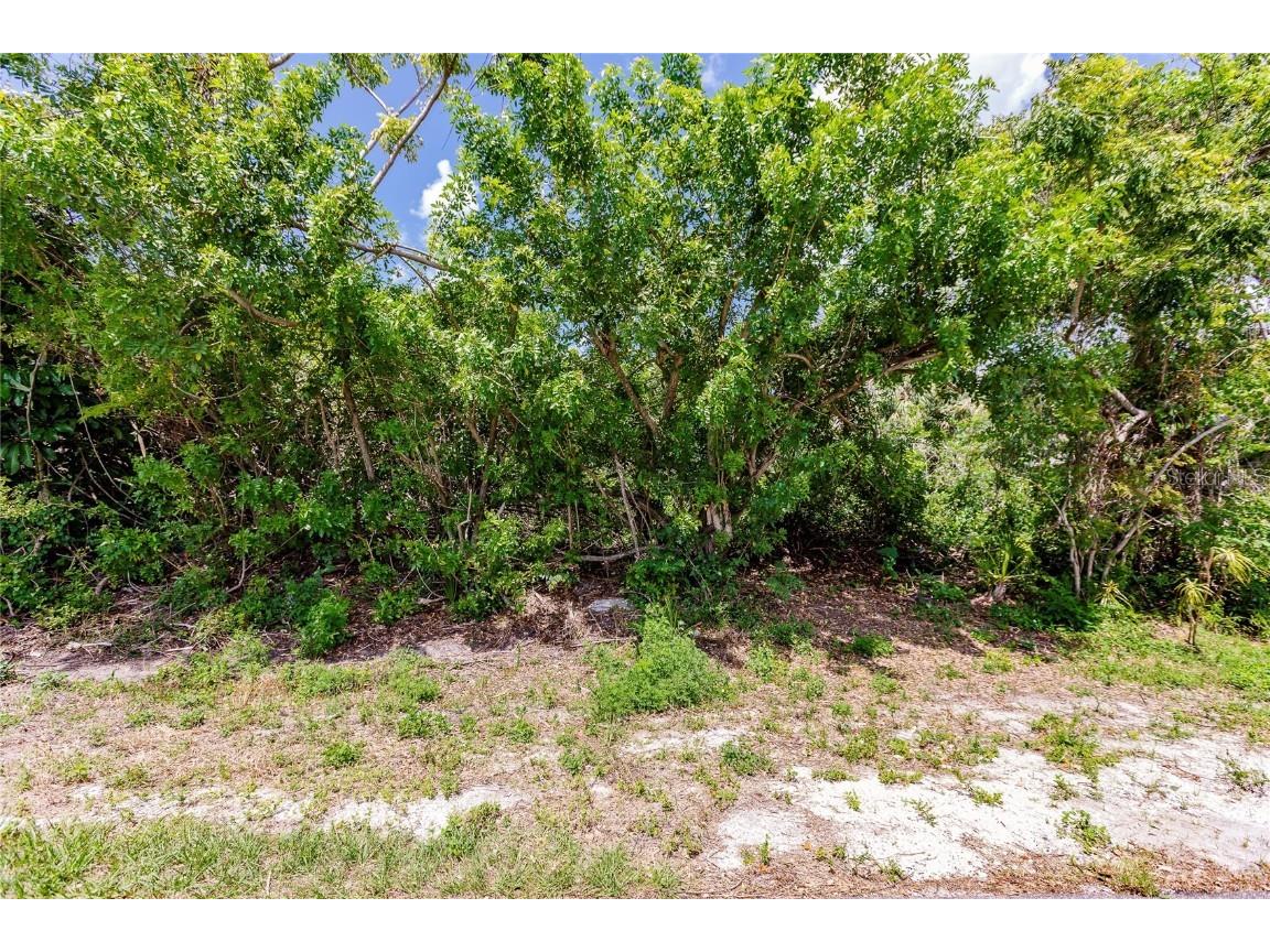 2113 Wonderwin Street Port Charlotte FL 33948 C7474594 image5