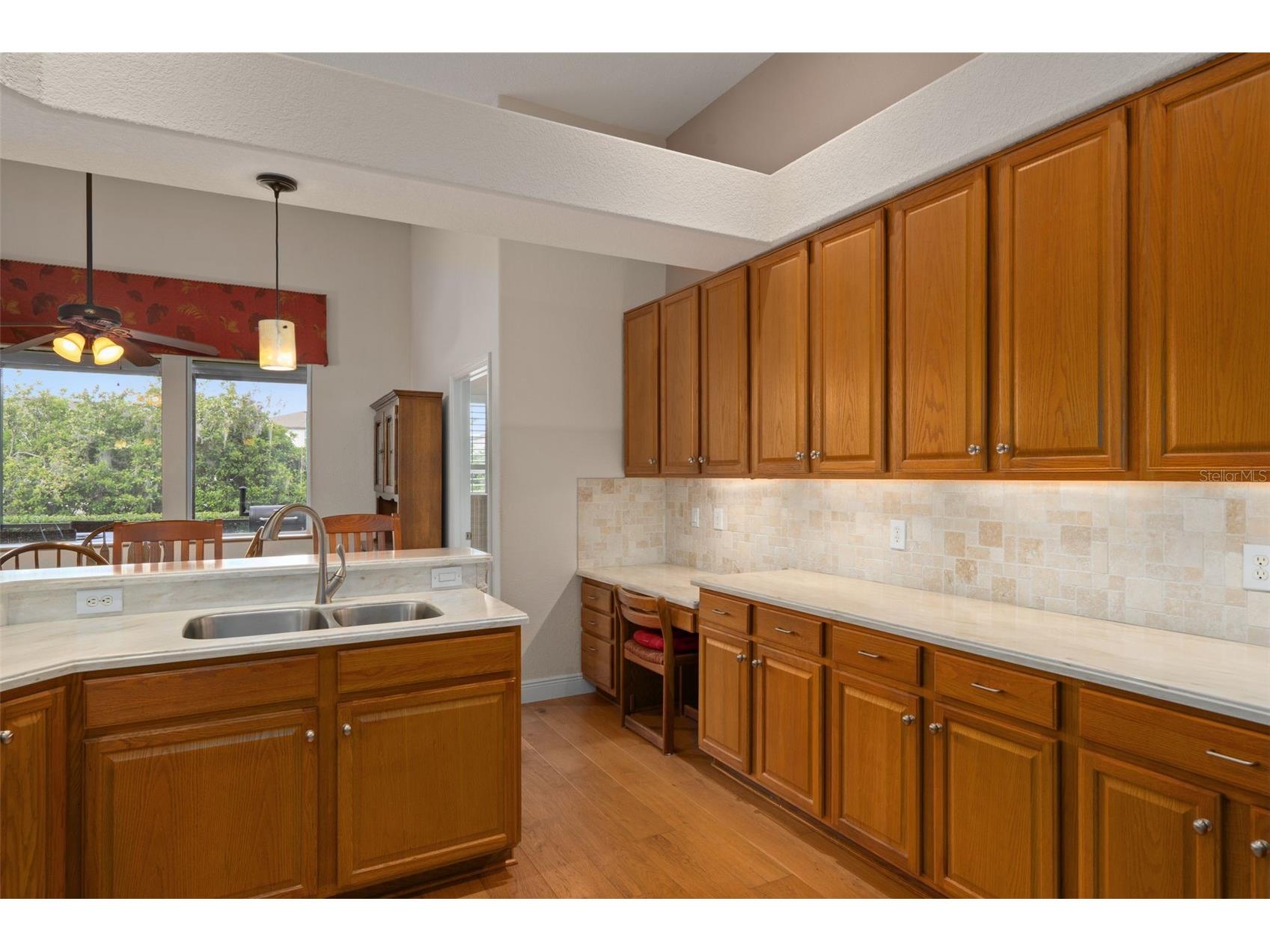 21133 Marsh Hawk Drive Land O Lakes FL 34638 - LAKE THOMAS TB8494736 image24
