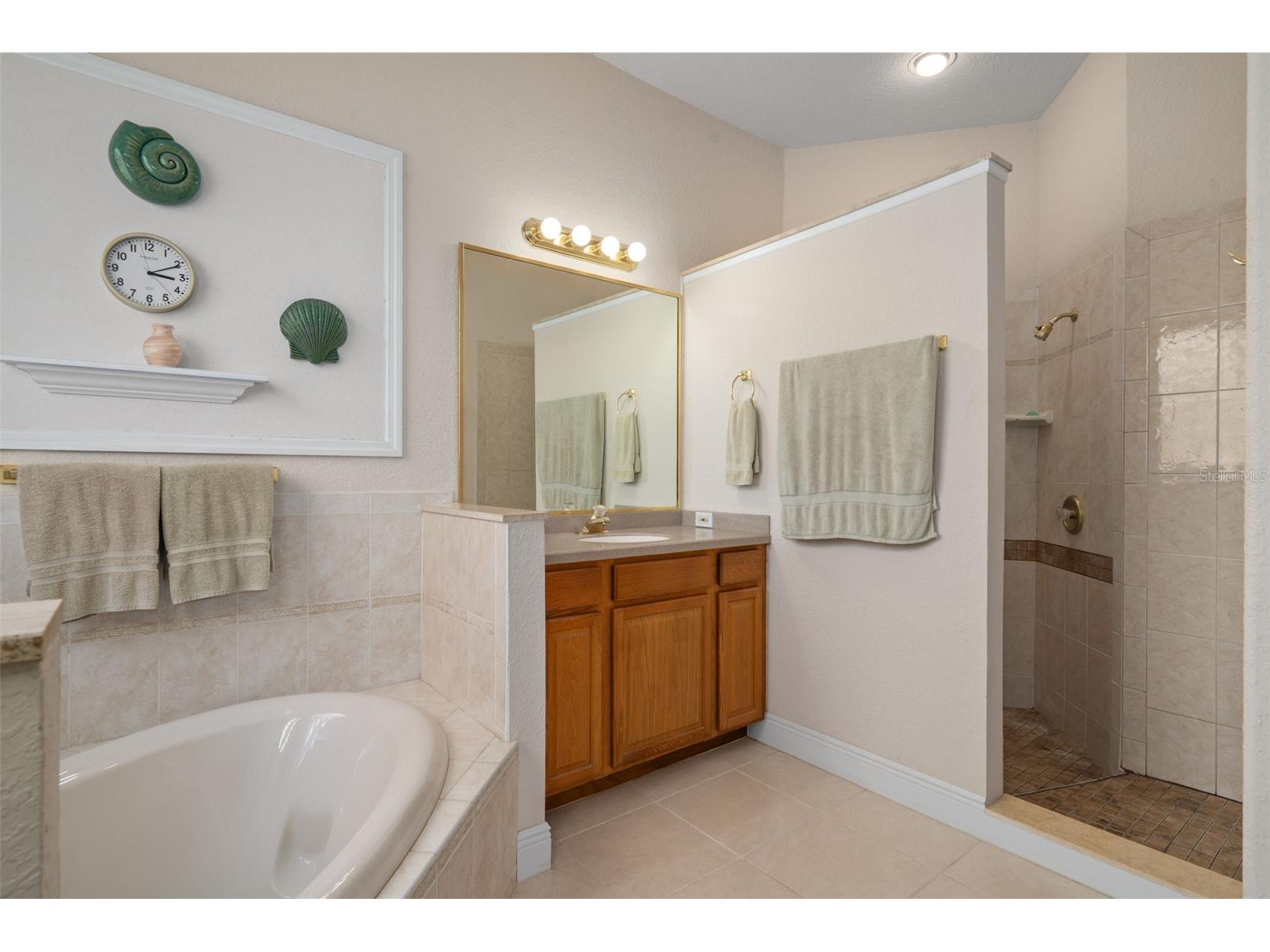 21133 Marsh Hawk Drive Land O Lakes FL 34638 - LAKE THOMAS TB8494736 image29