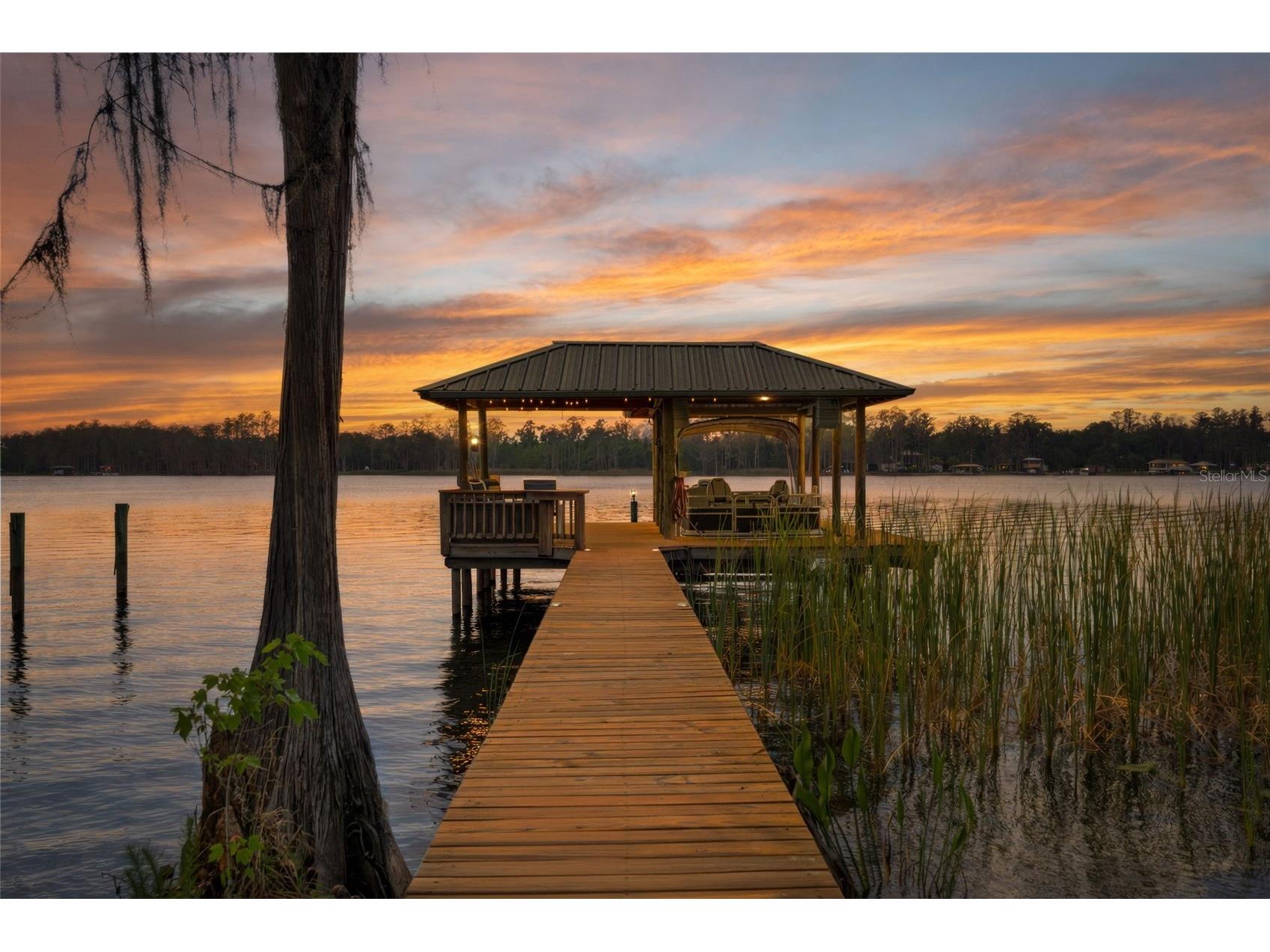 21133 Marsh Hawk Drive Land O Lakes FL 34638 - LAKE THOMAS TB8494736 image3