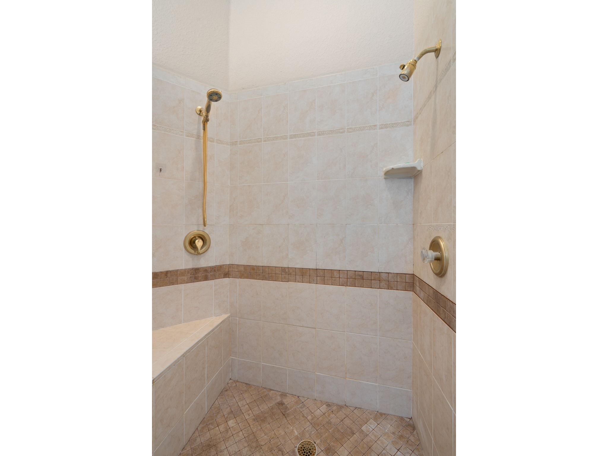 21133 Marsh Hawk Drive Land O Lakes FL 34638 - LAKE THOMAS TB8494736 image31