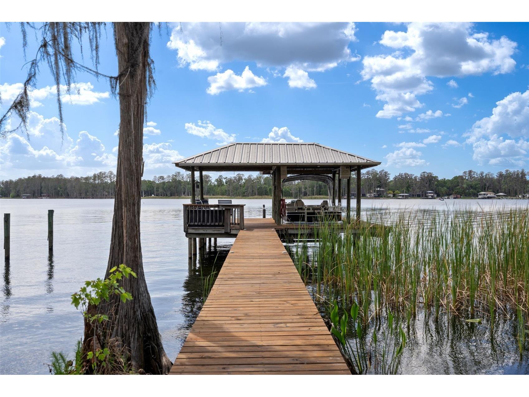 21133 Marsh Hawk Drive Land O Lakes FL 34638 - LAKE THOMAS TB8494736 image59