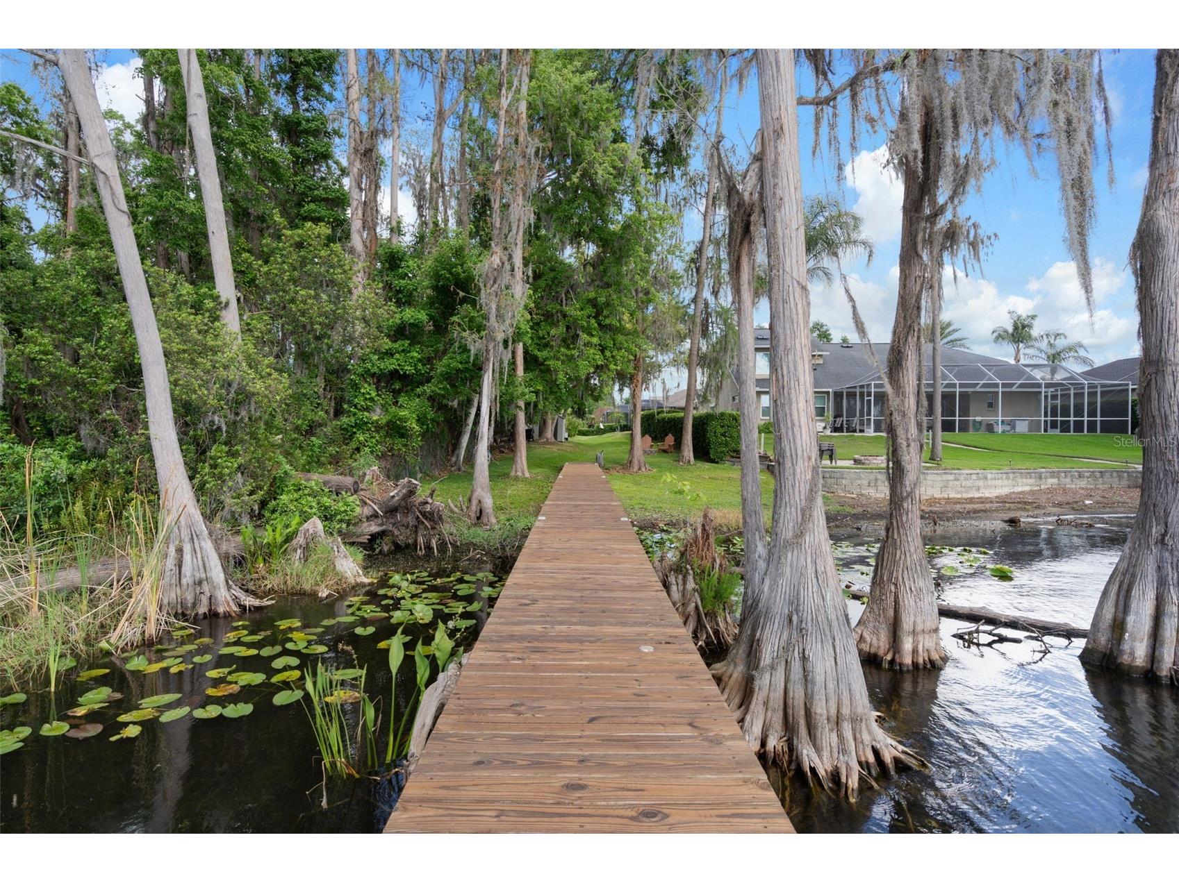 21133 Marsh Hawk Drive Land O Lakes FL 34638 - LAKE THOMAS TB8494736 image60