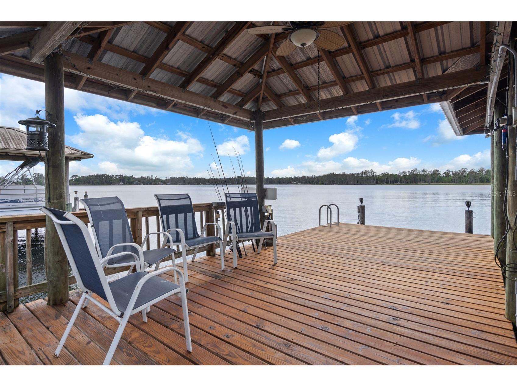 21133 Marsh Hawk Drive Land O Lakes FL 34638 - LAKE THOMAS TB8494736 image61