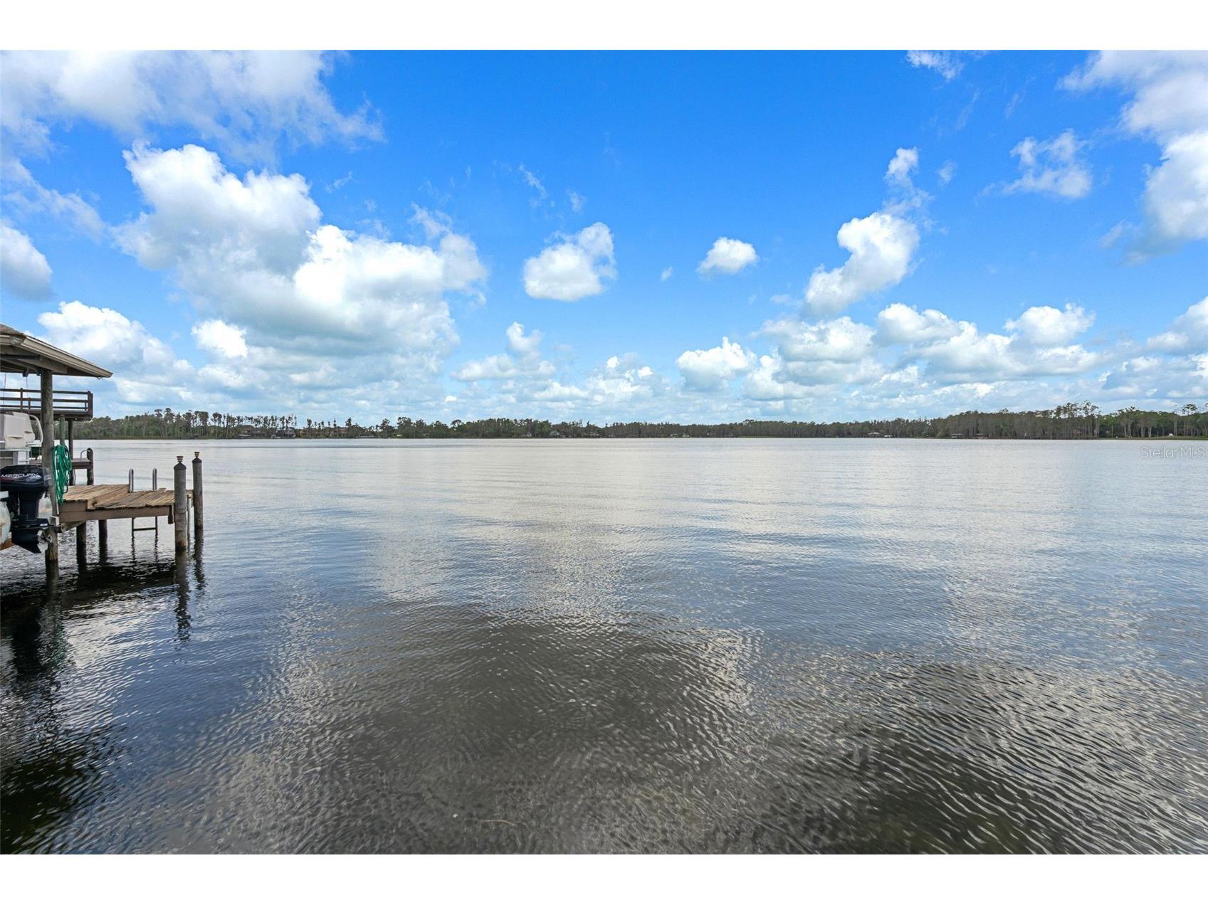 21133 Marsh Hawk Drive Land O Lakes FL 34638 - LAKE THOMAS TB8494736 image65