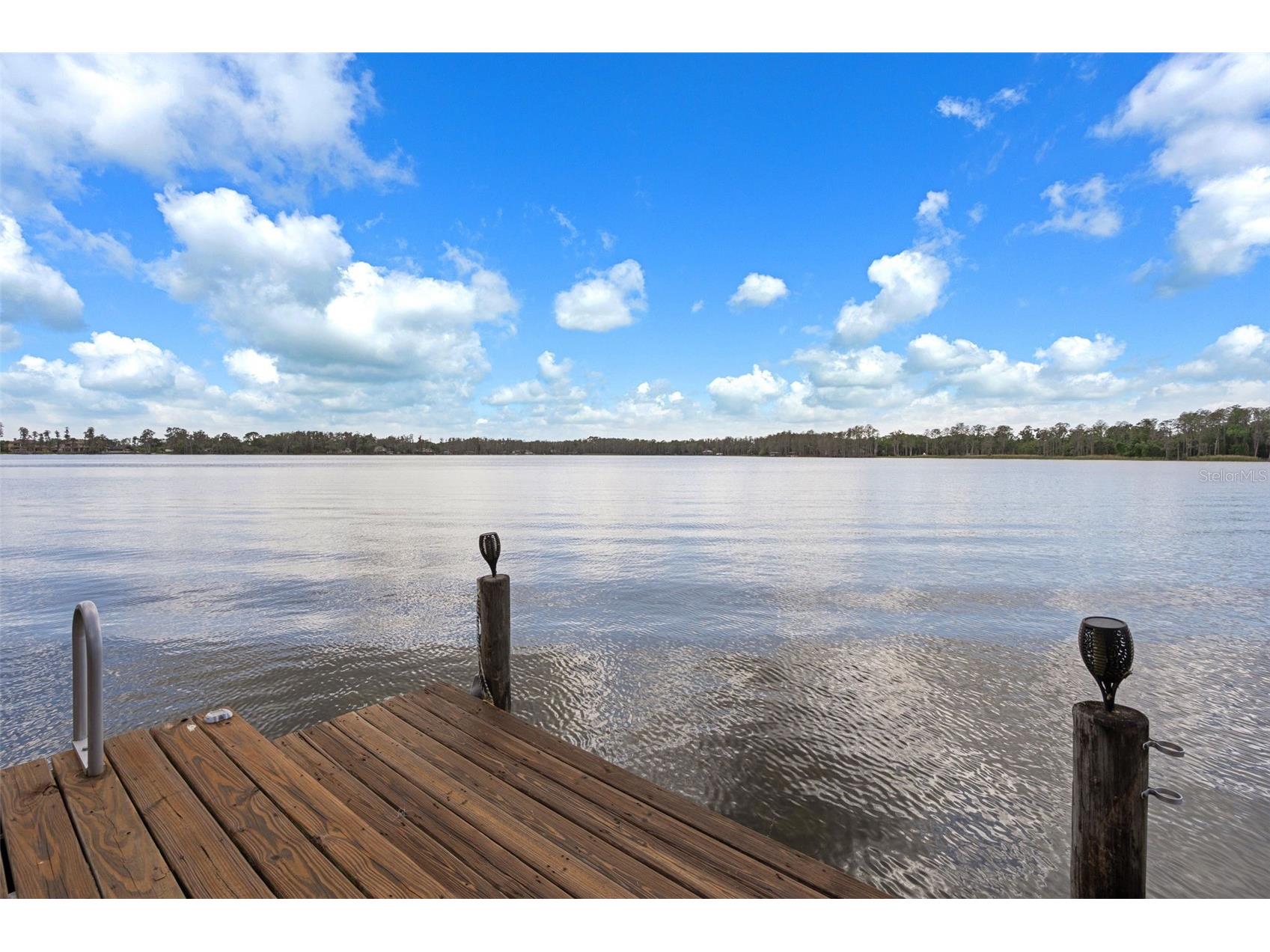21133 Marsh Hawk Drive Land O Lakes FL 34638 - LAKE THOMAS TB8494736 image66