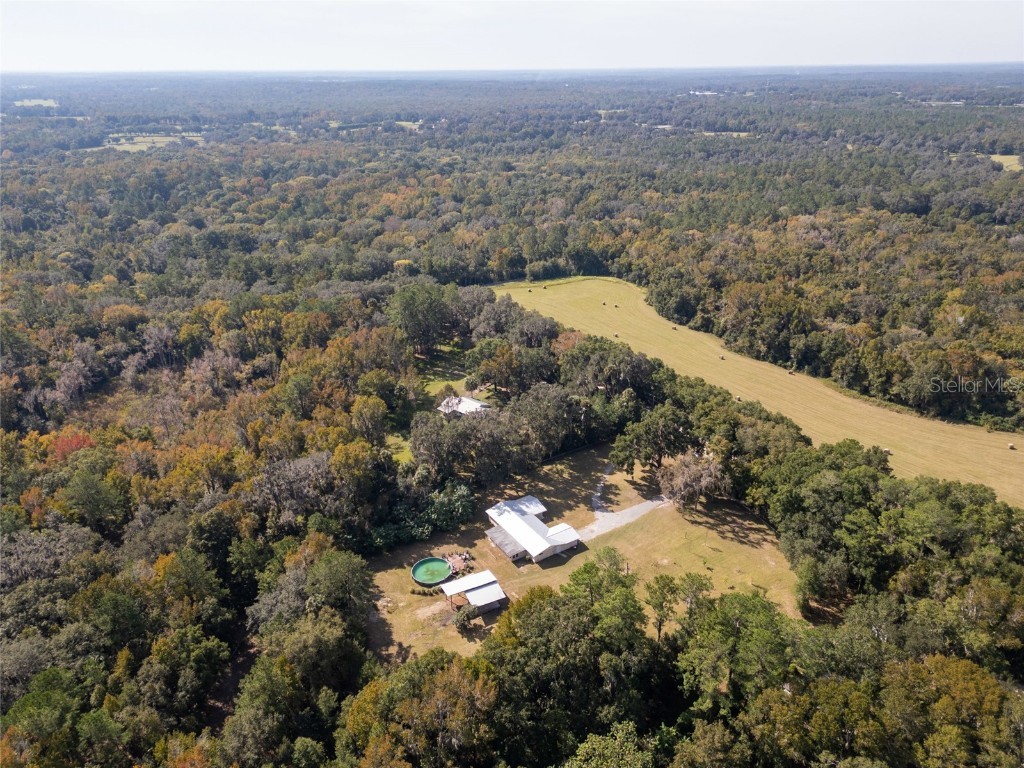 21133 NW 75th Avenue Micanopy FL 32667 OM712767 image11