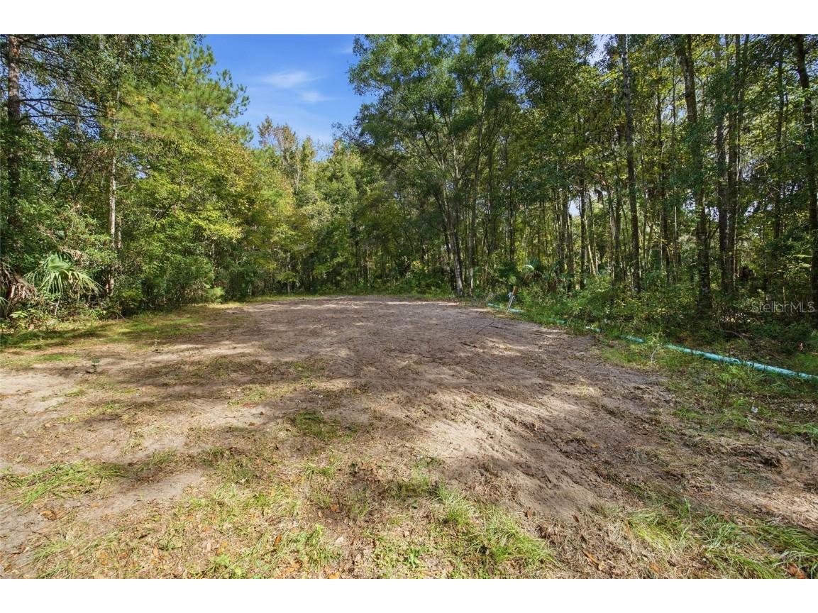 21133 NW 75th Avenue Micanopy FL 32667 OM712767 image42