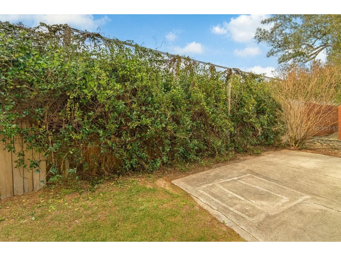 21135 Peckham Avenue Mount Dora FL 32757 G5104949 image30