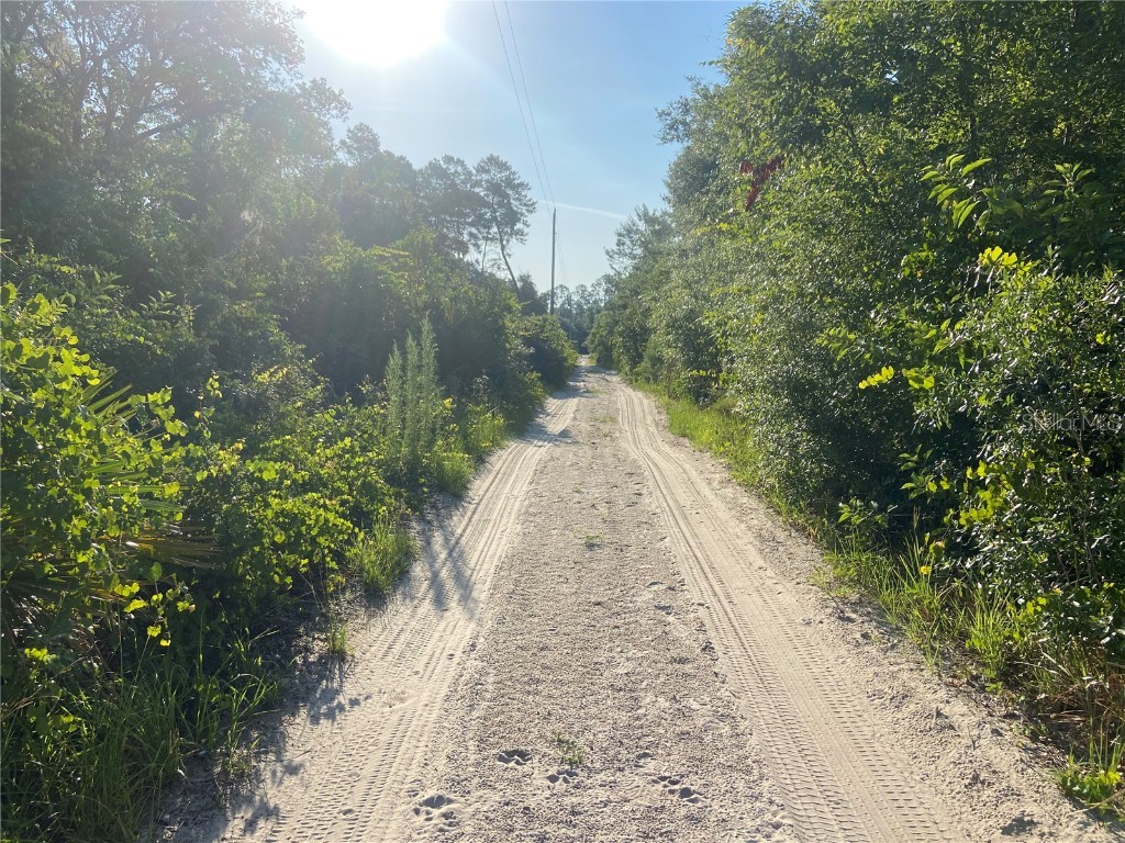 21139 SE 144th Lane Umatilla FL 32784 OM708252 image3