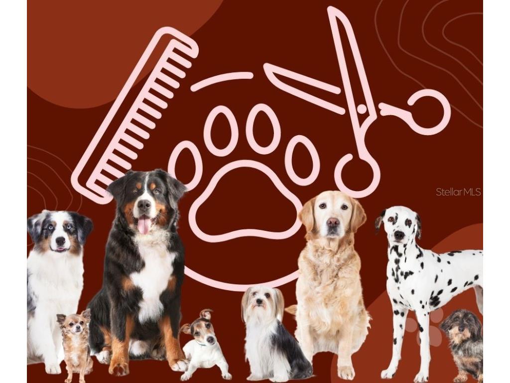 2114 Drew St. Clearwater FL 33756 T3470942 image1