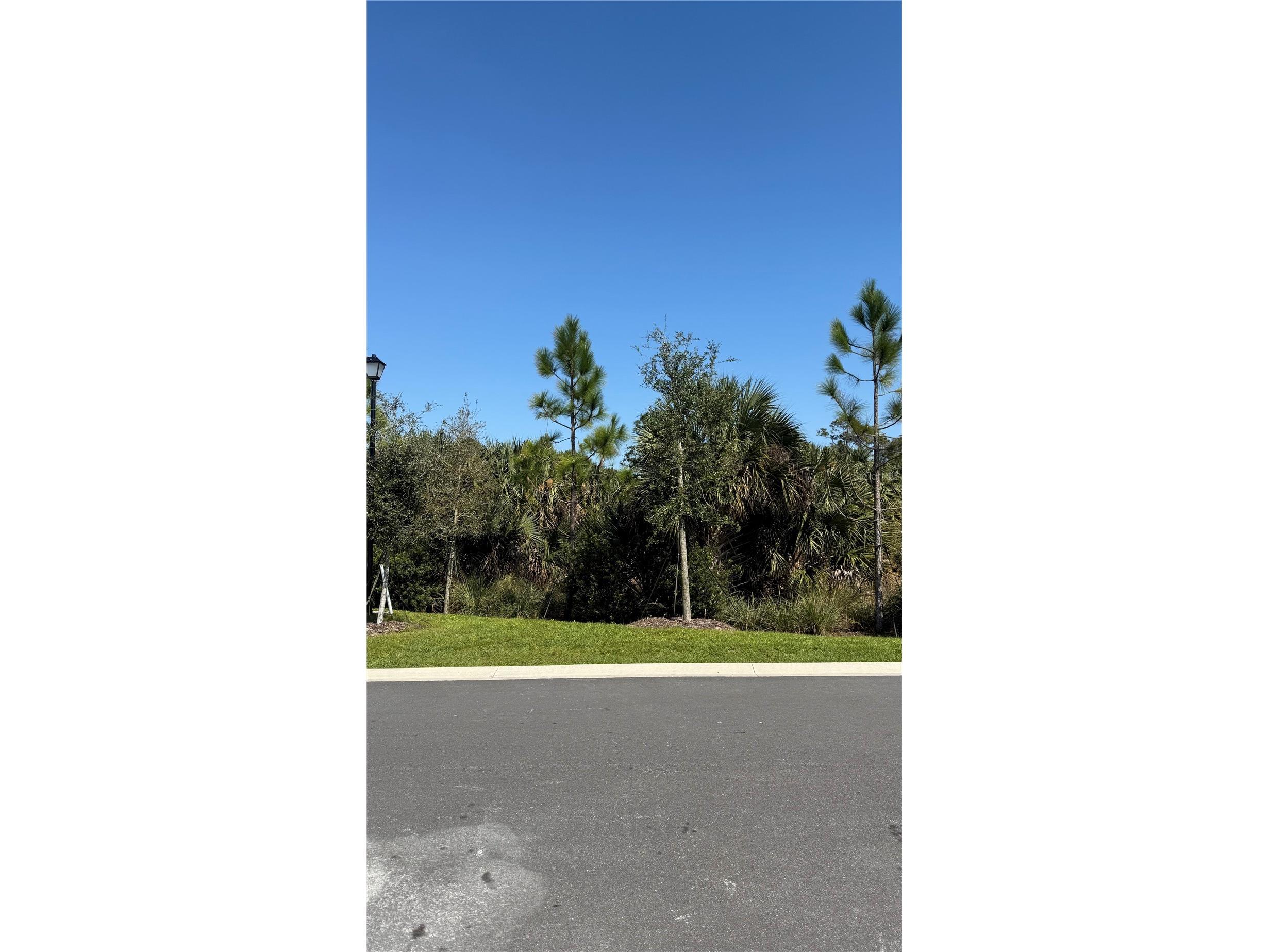 2114 Gentle Rain Drive Edgewater FL 32141 O6422820 image30