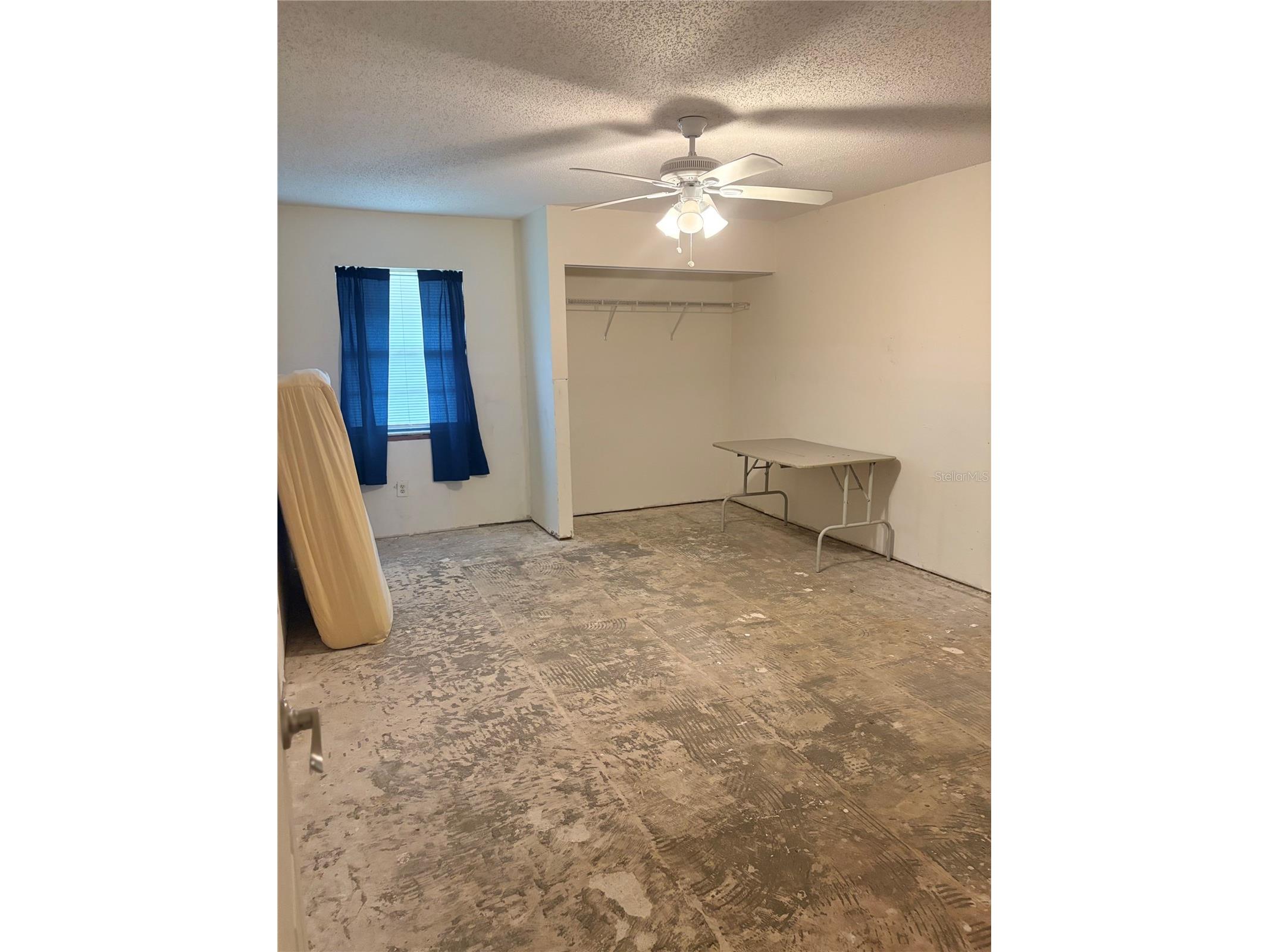2114 Kumquat Drive Edgewater FL 32141 NS1087988 image7