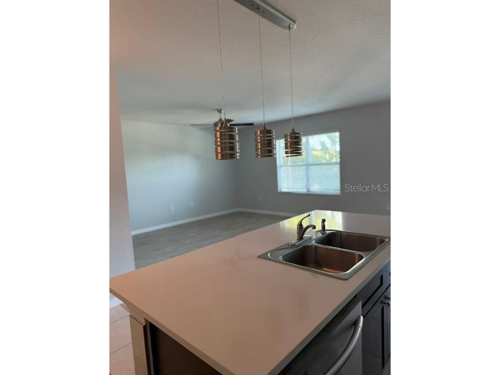 2114 Rockmart Loop Tavares FL 32778 O6339302 image5