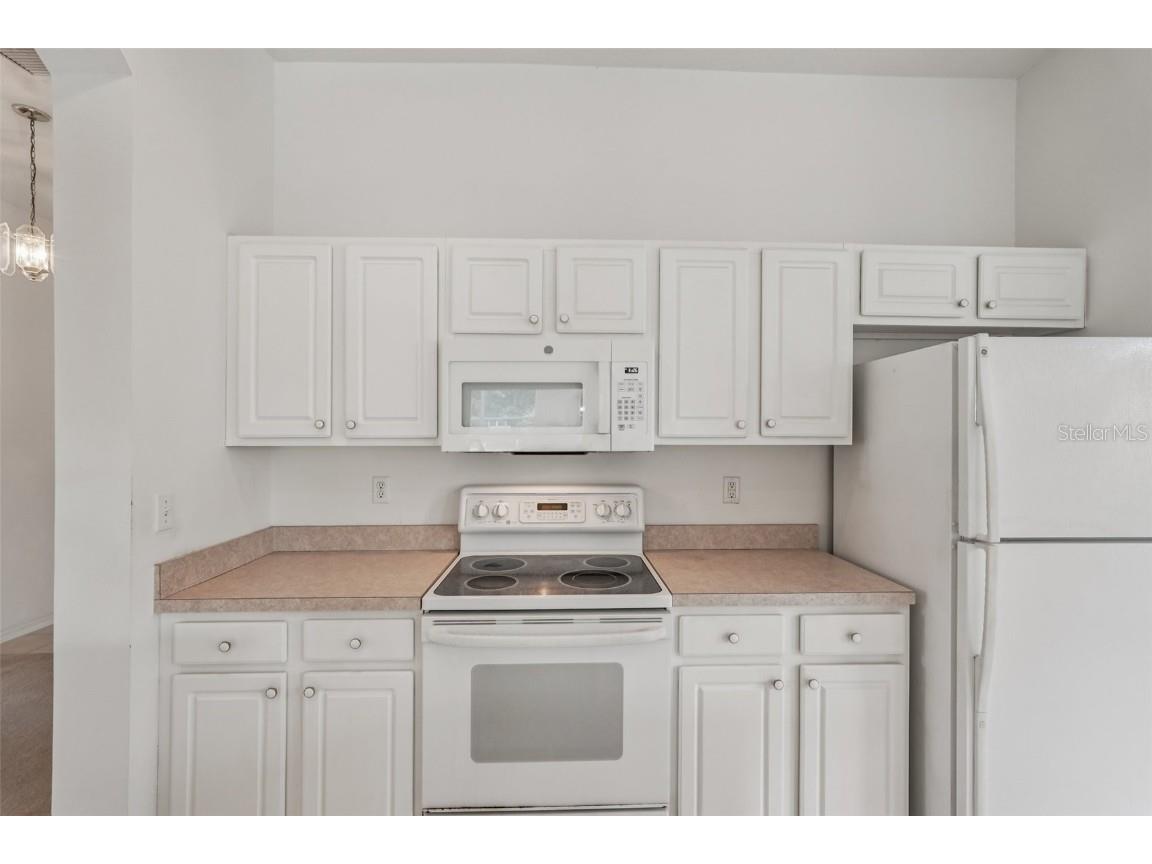 2114 Worthington Greens Drive Sun City Center FL 33573 TB8413928 image13