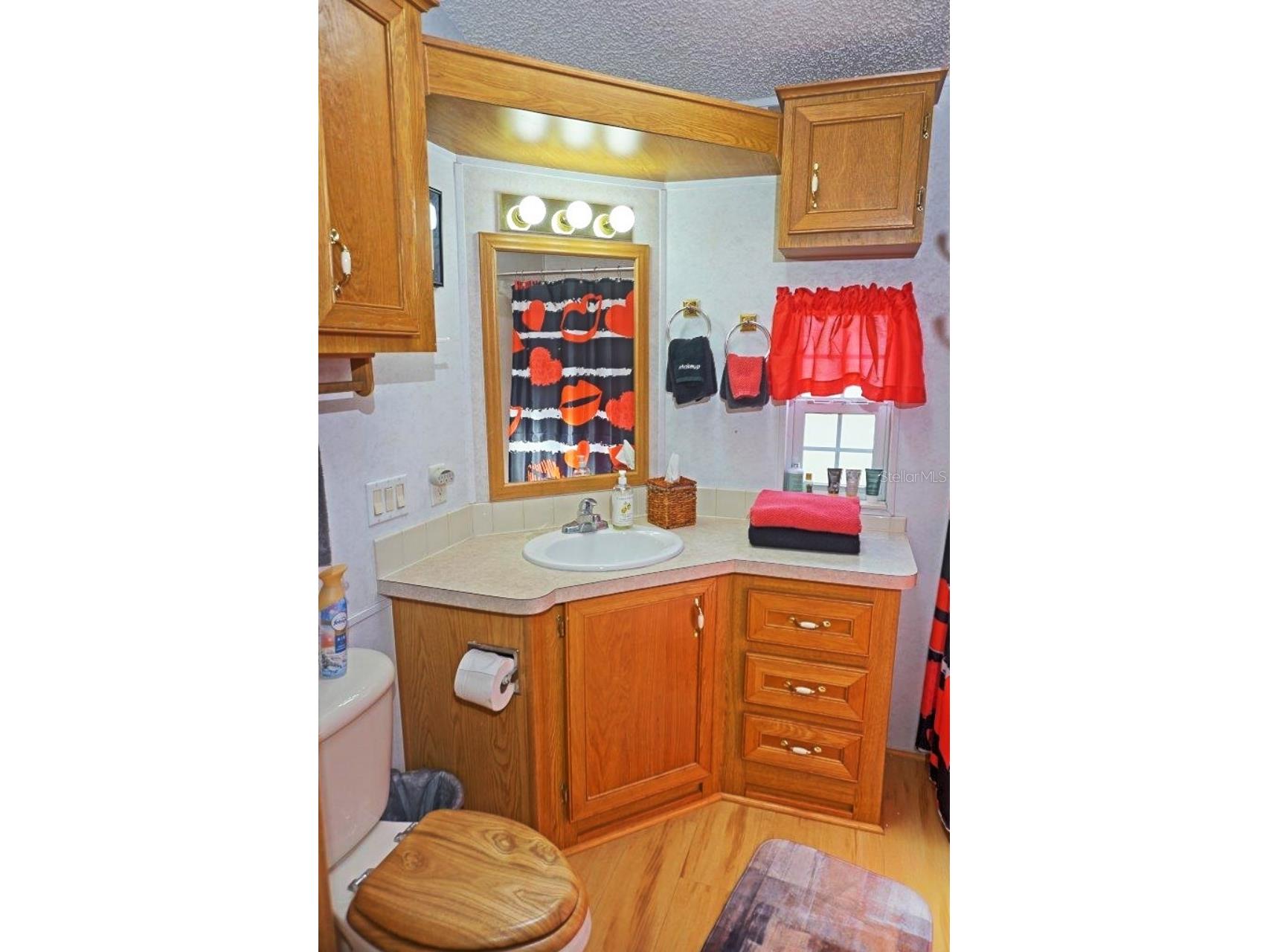 21145 Lazy Days Circle Lutz FL 33558 W7884782 image19