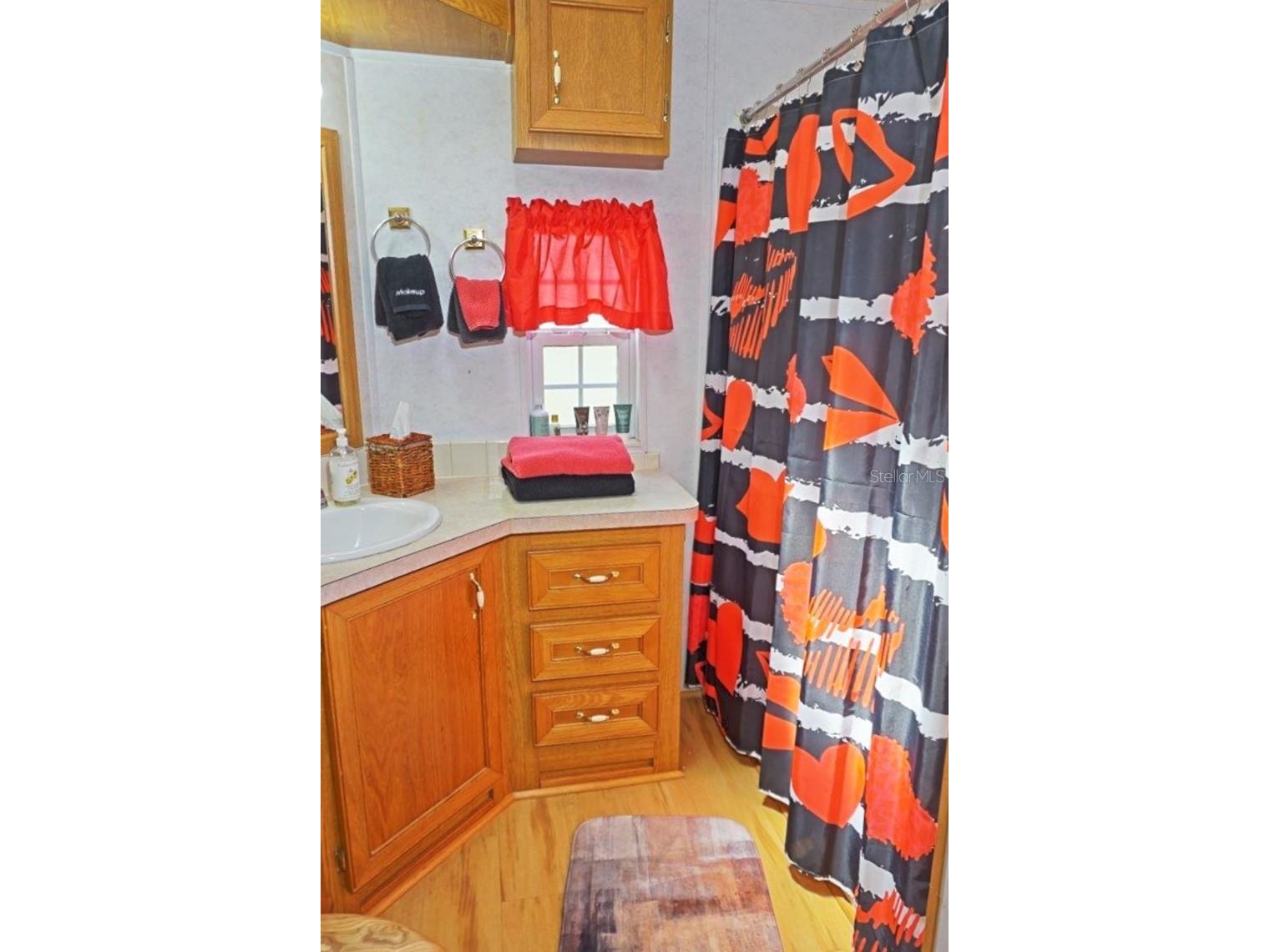 21145 Lazy Days Circle Lutz FL 33558 W7884782 image20