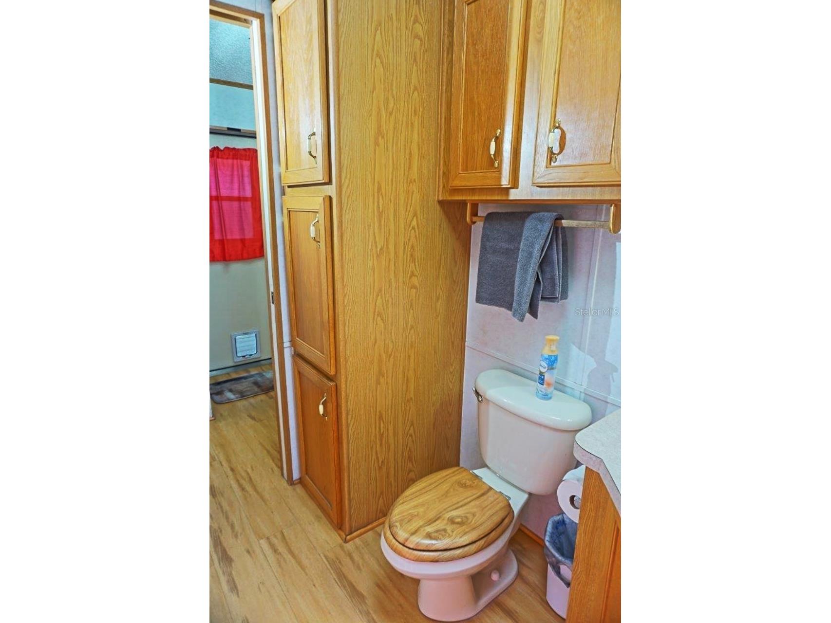 21145 Lazy Days Circle Lutz FL 33558 W7884782 image21