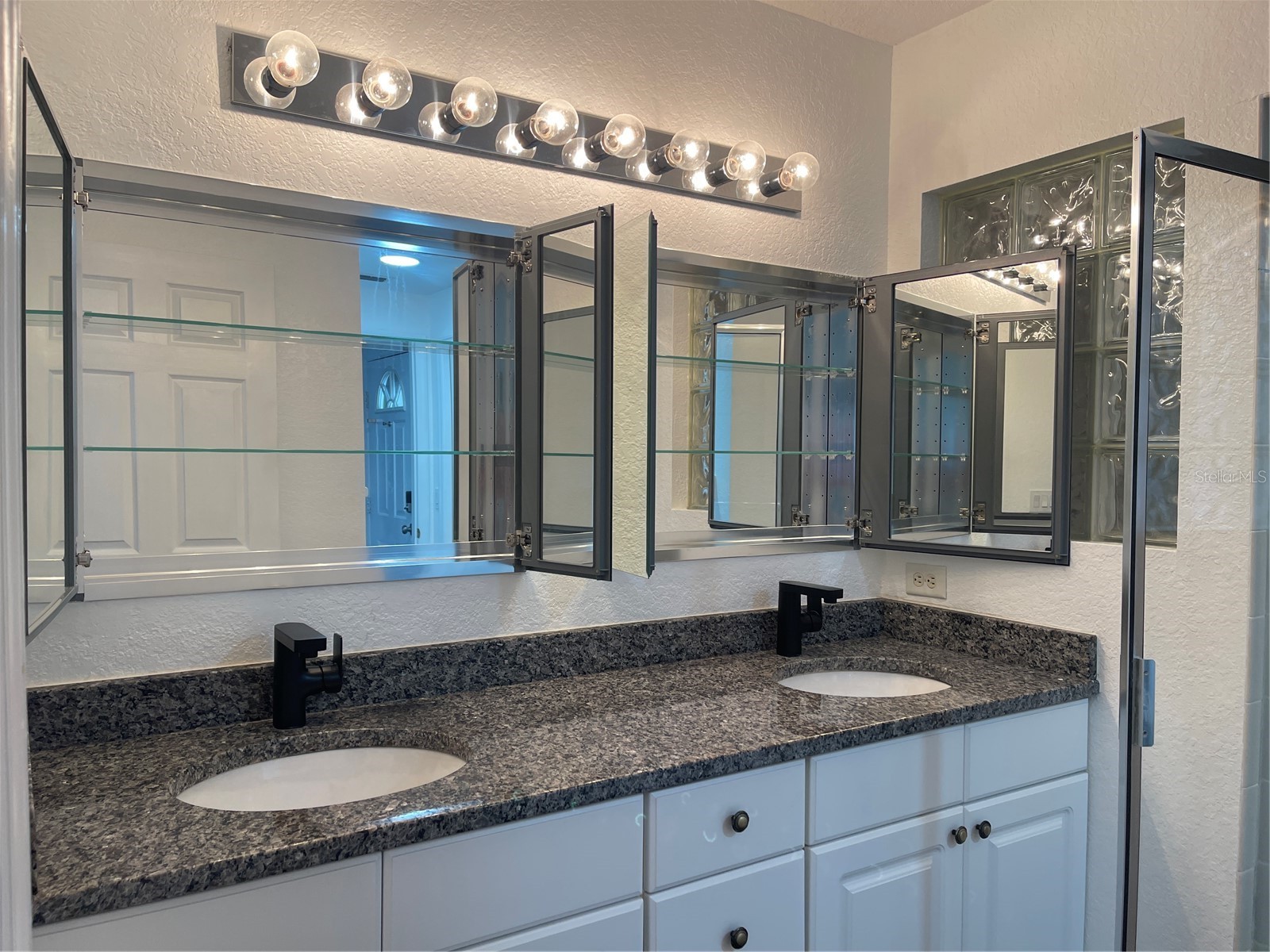 21146 Fountain View Lane #4303 Lutz FL 33558 W7883679 image16