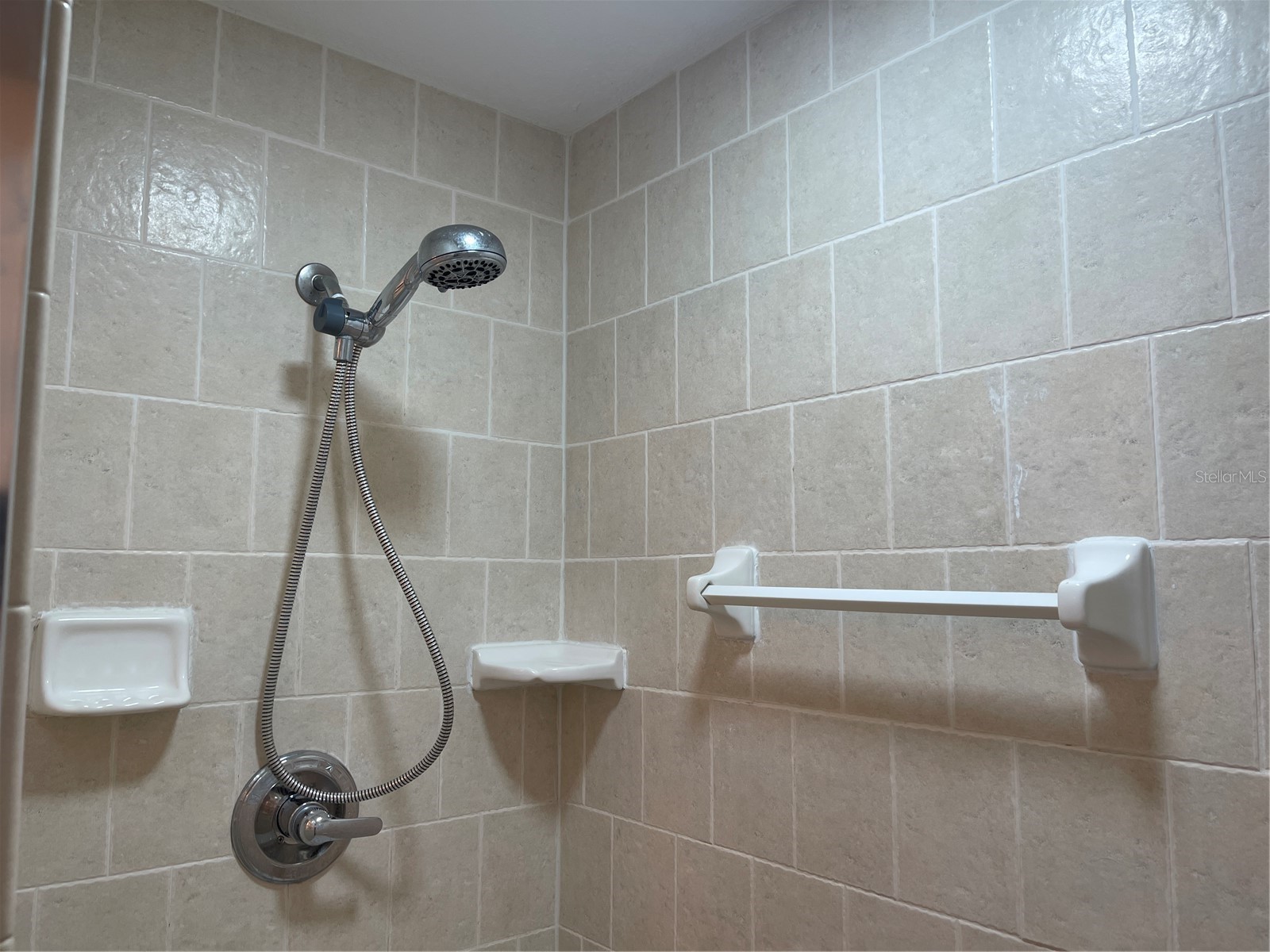 21146 Fountain View Lane #4303 Lutz FL 33558 W7883679 image18