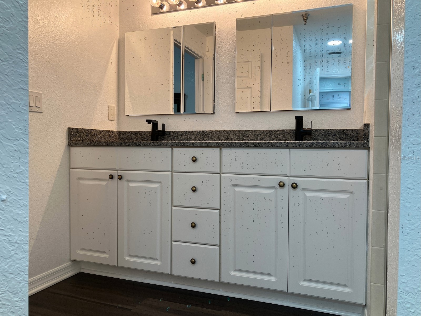 21146 Fountain View Lane #4303 Lutz FL 33558 W7883679 image19