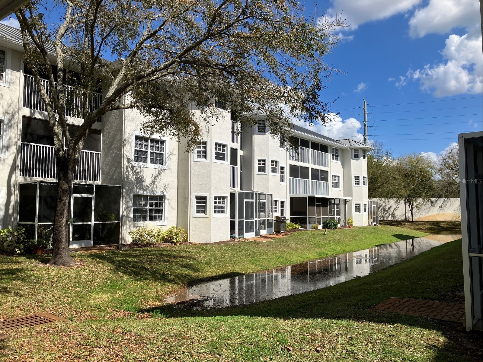 21146 Fountain View Lane #4303 Lutz FL 33558 W7883679 image2