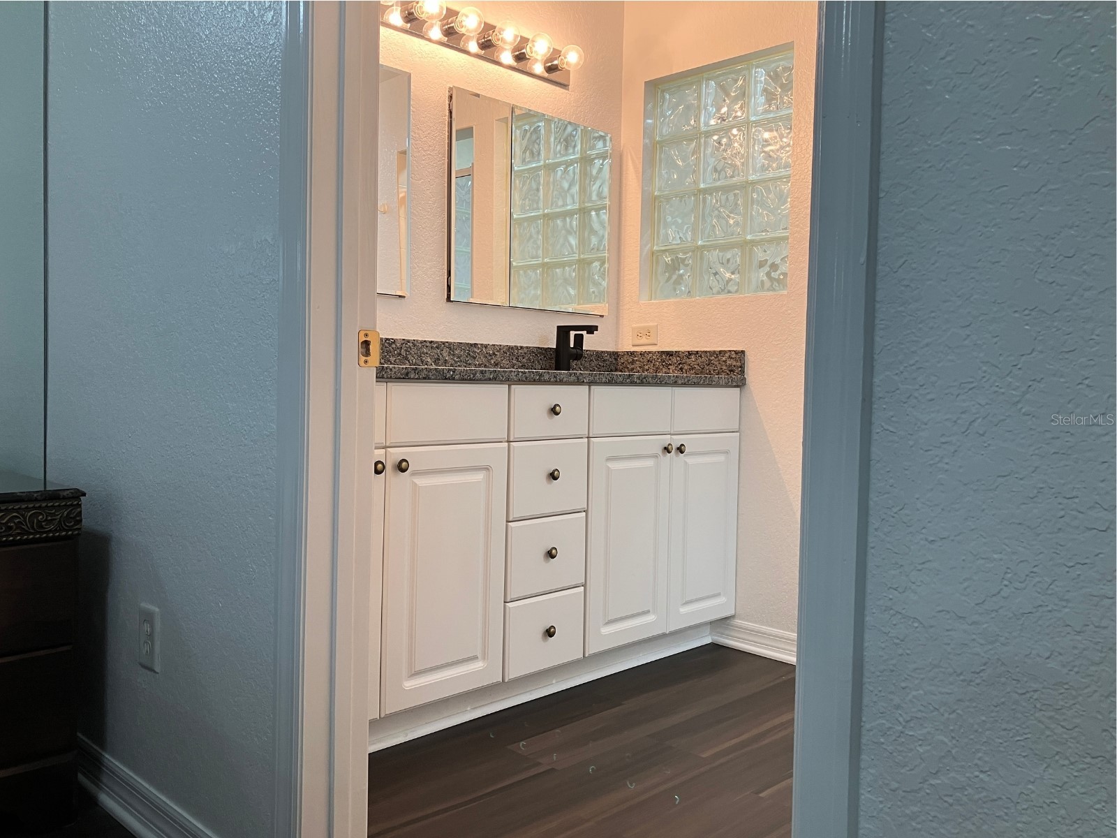 21146 Fountain View Lane #4303 Lutz FL 33558 W7883679 image20