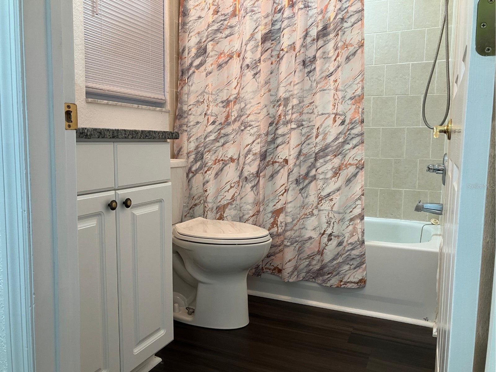 21146 Fountain View Lane #4303 Lutz FL 33558 W7883679 image37
