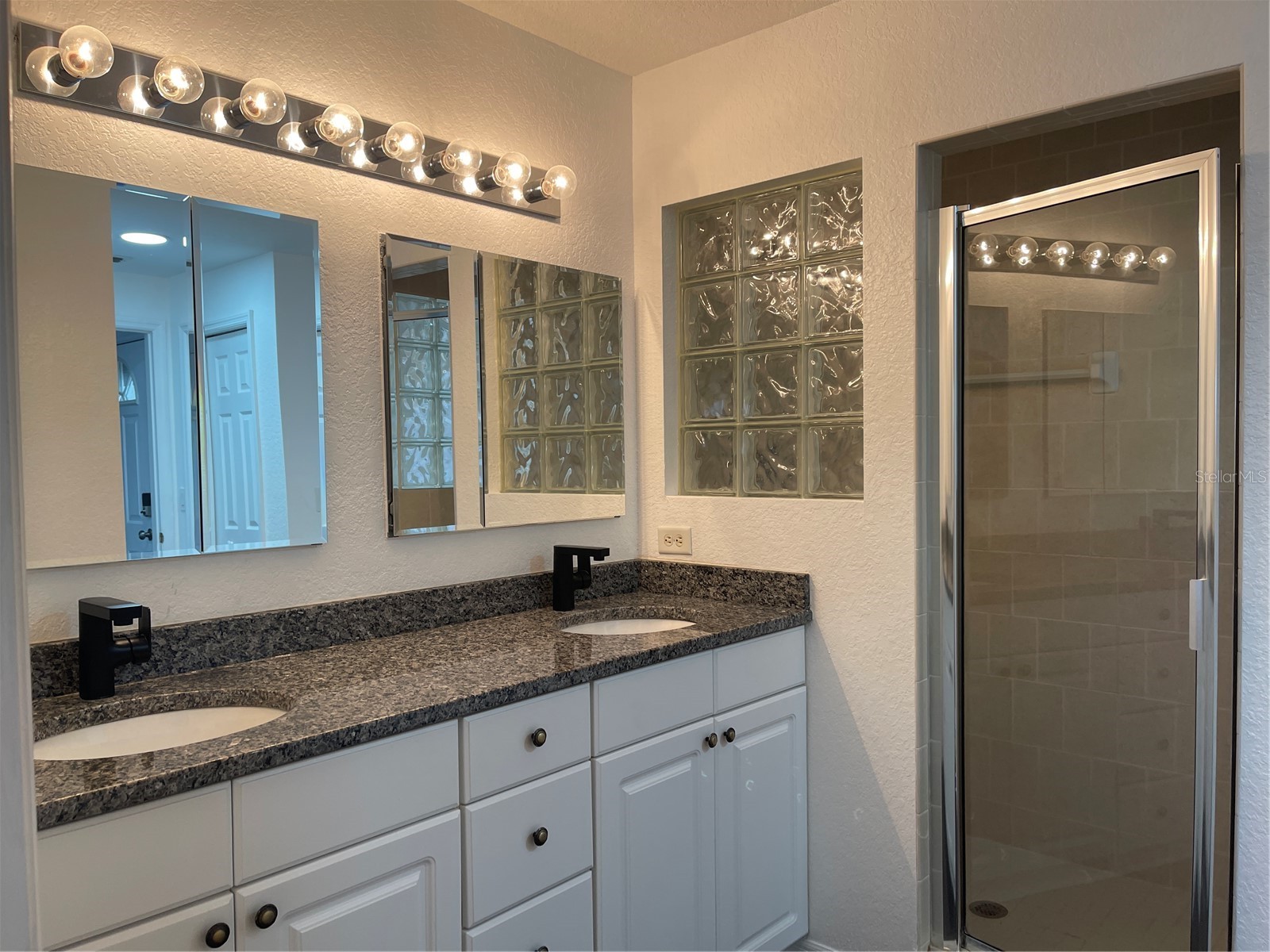 21146 Fountain View Lane #4303 Lutz FL 33558 W7883679 image40