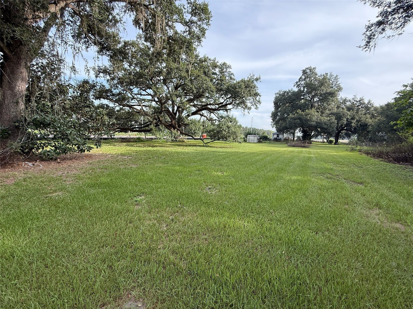 21146 Us Highway 301 Dade City FL 33523 TB8413908 image24