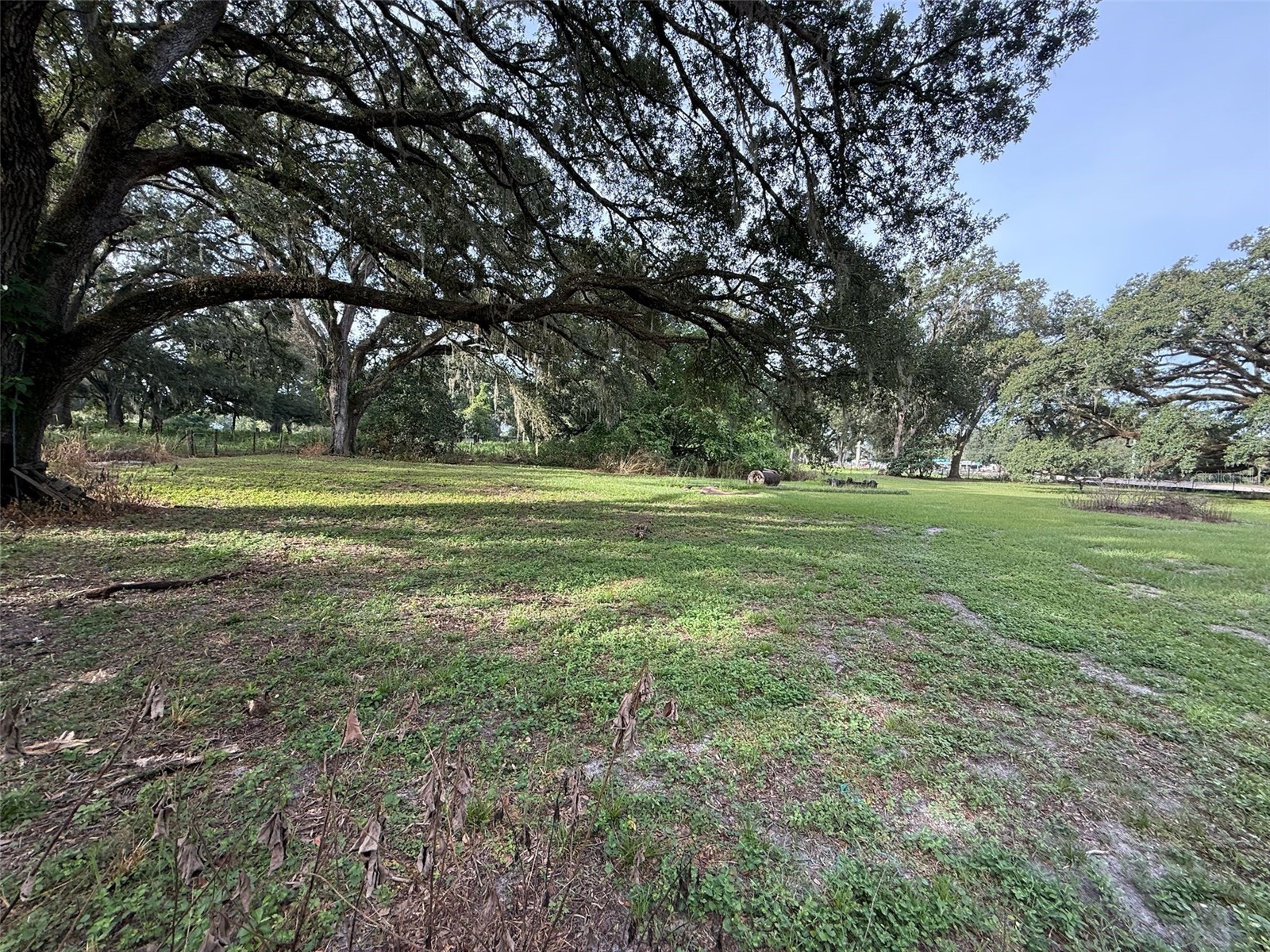 21146 Us Highway 301 Dade City FL 33523 TB8413908 image30