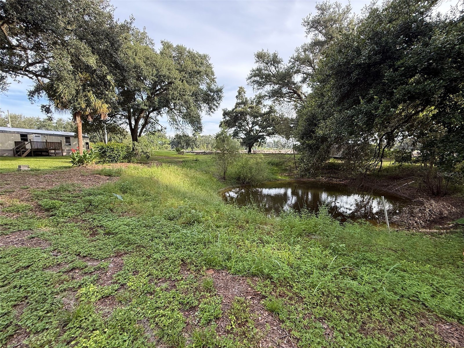 21146 Us Highway 301 Dade City FL 33523 TB8413908 image8