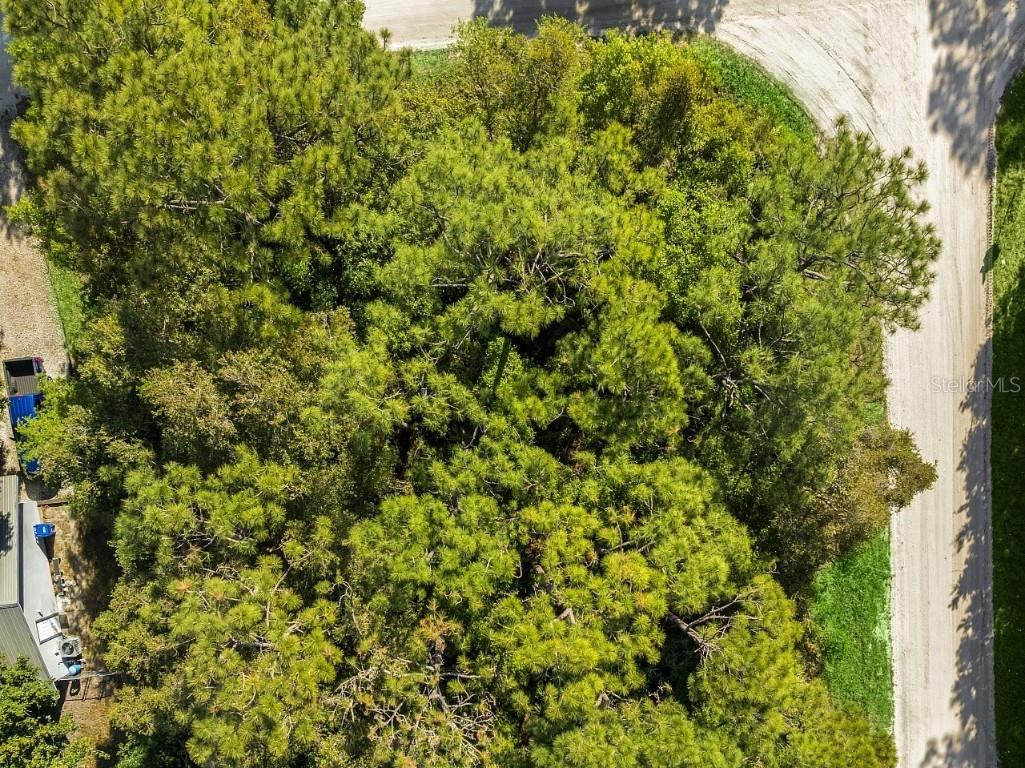 2115 86th Drive Vero Beach FL 32966 O6290703 image4