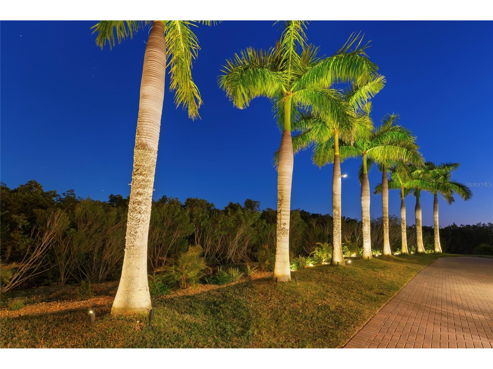 2115 Alexis Court Tarpon Springs FL 34689 - GULF OF AMERICA TB8459525 image64
