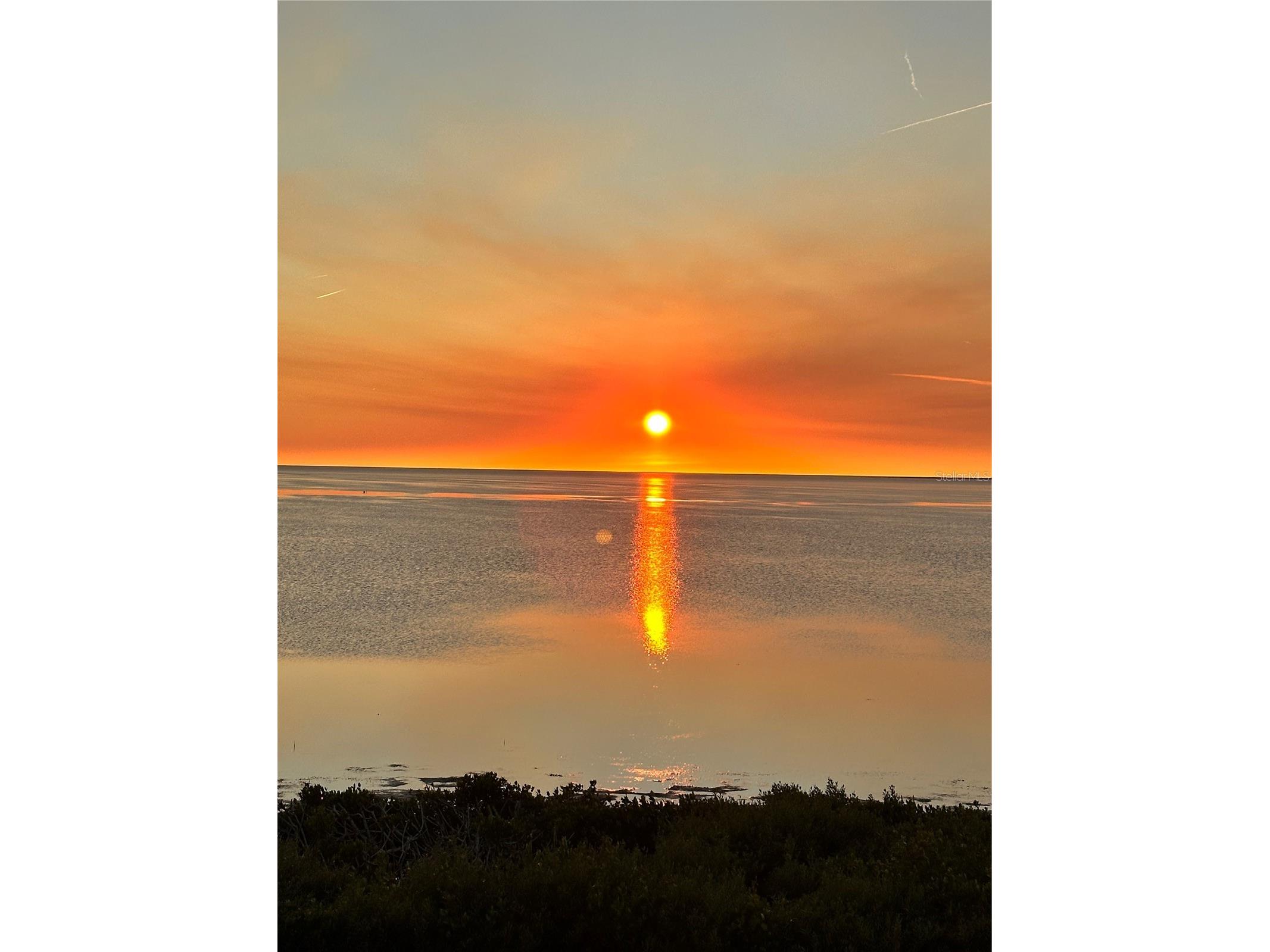 2115 Alexis Court Tarpon Springs FL 34689 - GULF OF AMERICA TB8459525 image87