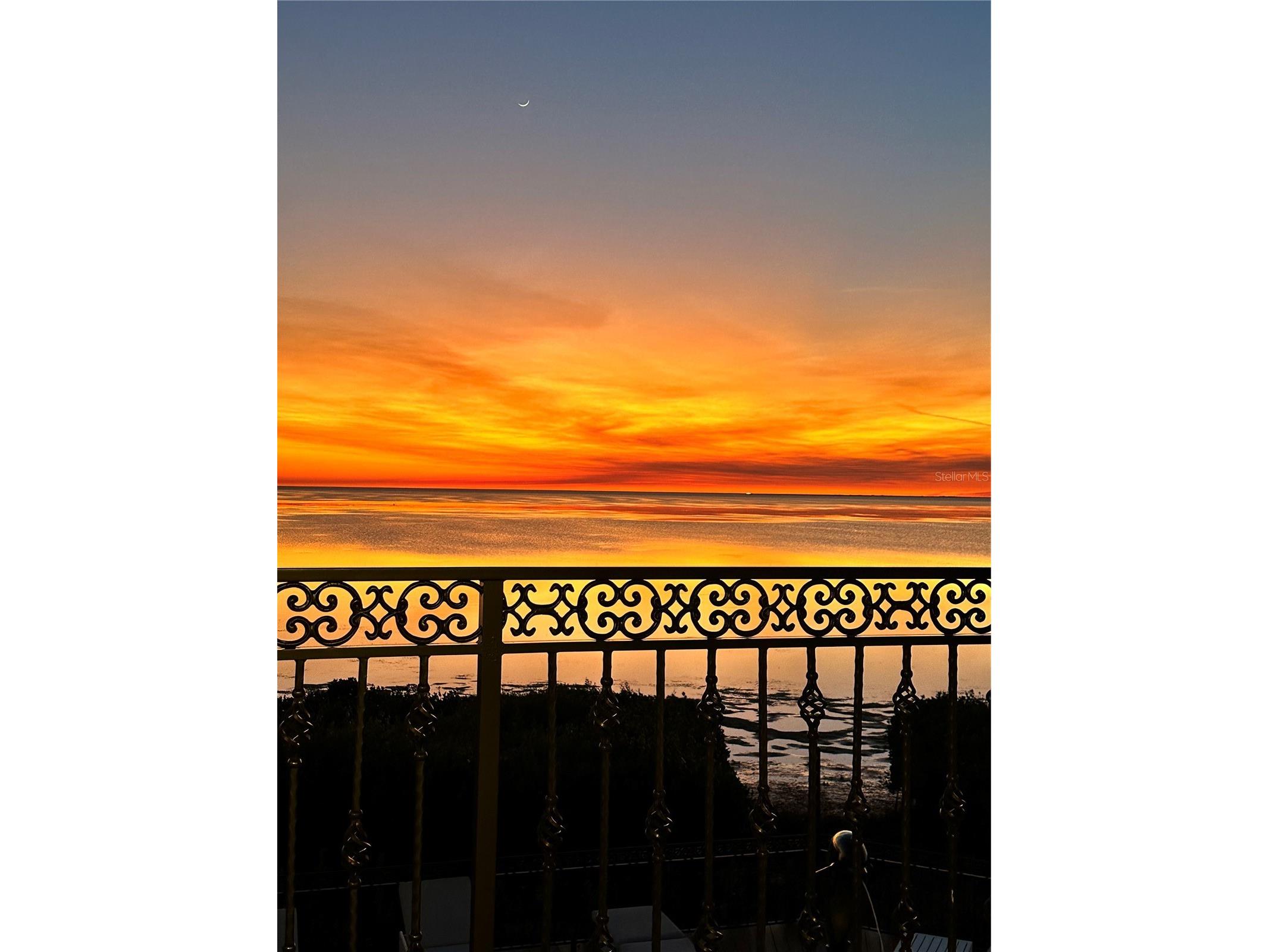 2115 Alexis Court Tarpon Springs FL 34689 - GULF OF AMERICA TB8459525 image90