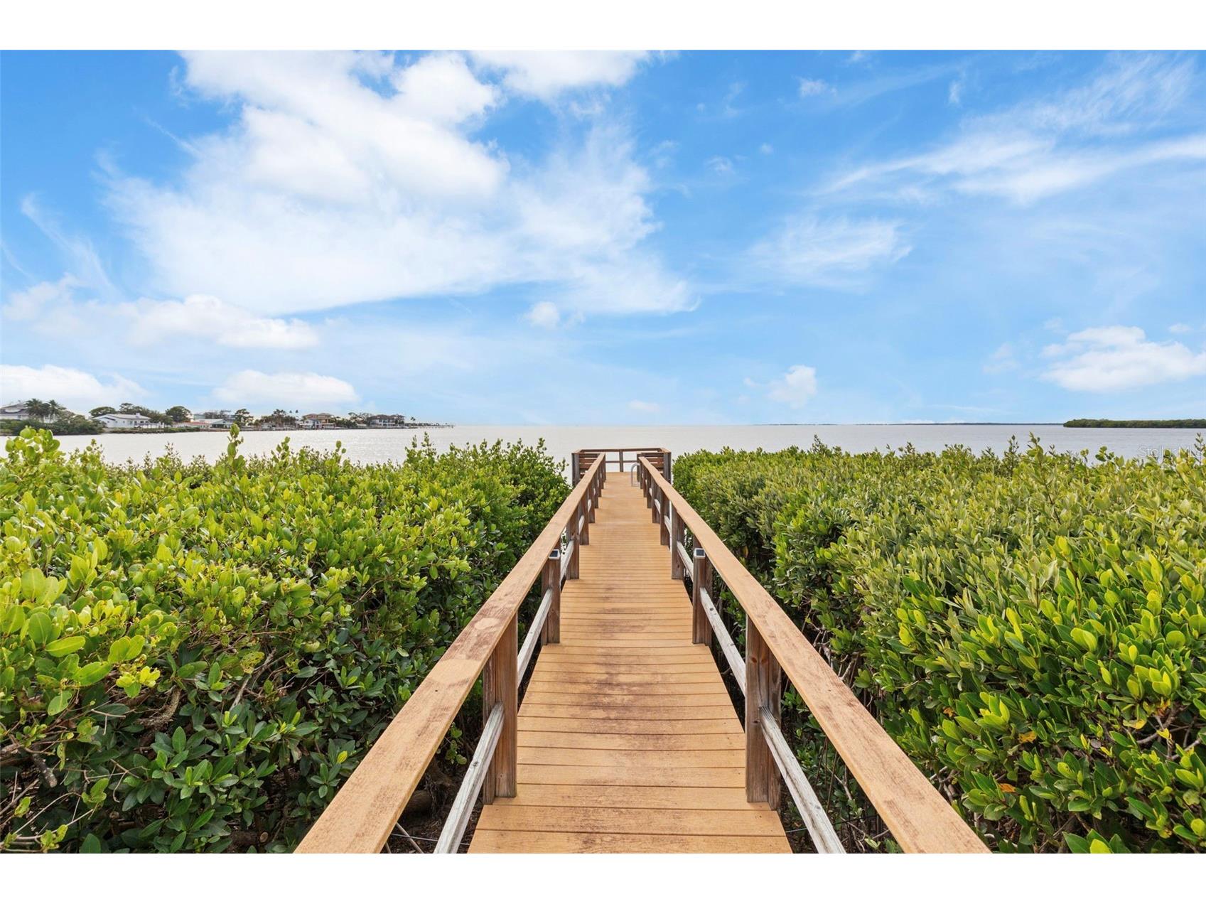 2115 Alexis Court Tarpon Springs FL 34689 - GULF OF AMERICA TB8459525 image95