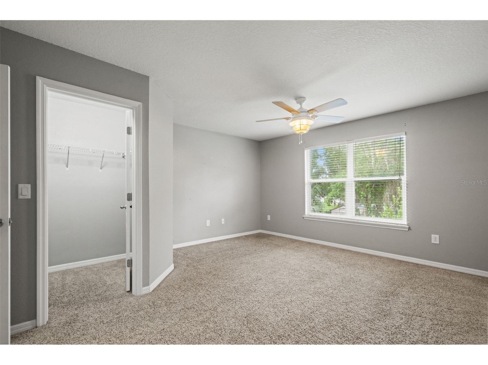 2115 Broadway View Avenue Brandon FL 33510 TB8515043 image14