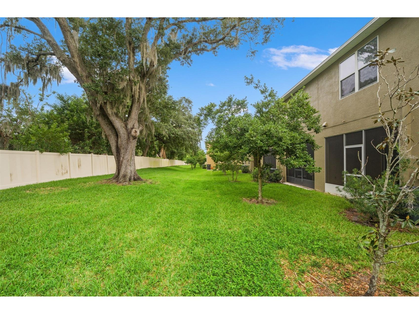 2115 Broadway View Avenue Brandon FL 33510 TB8515043 image28