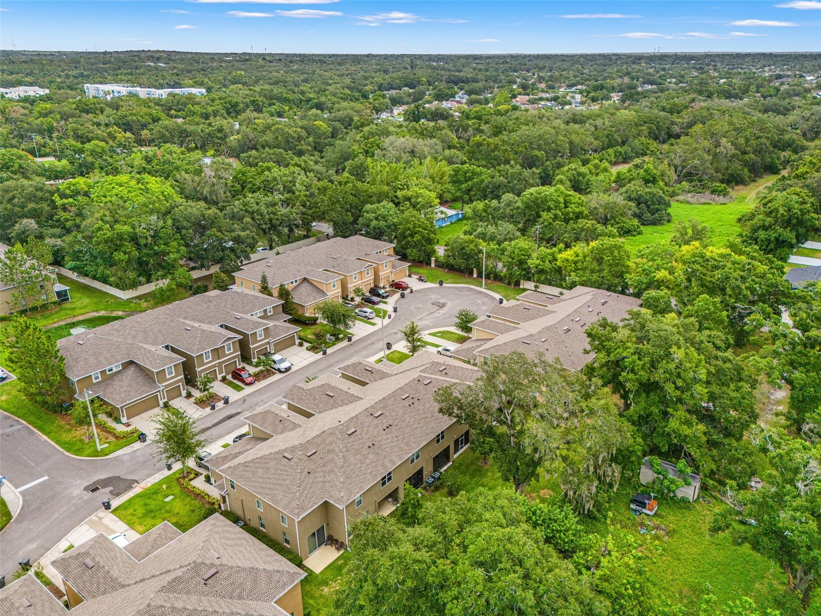 2115 Broadway View Avenue Brandon FL 33510 TB8515043 image29