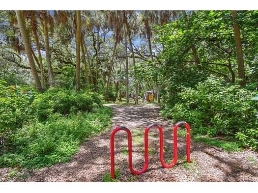 2115 Philippe Parkway Safety Harbor FL 34695 TB8491863 image67