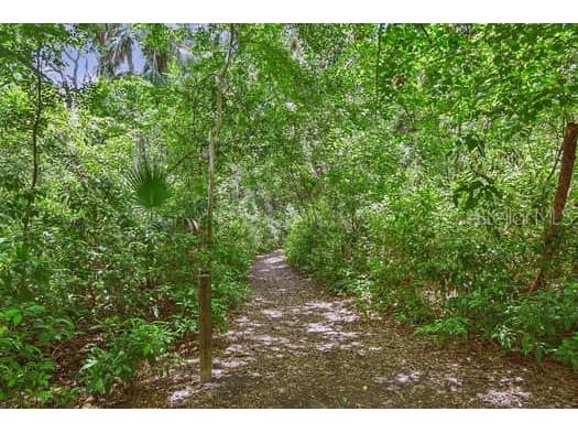 2115 Philippe Parkway Safety Harbor FL 34695 TB8491863 image68