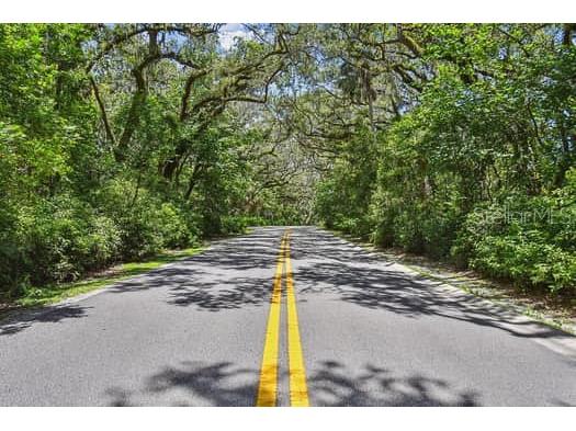 2115 Philippe Parkway Safety Harbor FL 34695 TB8491863 image69