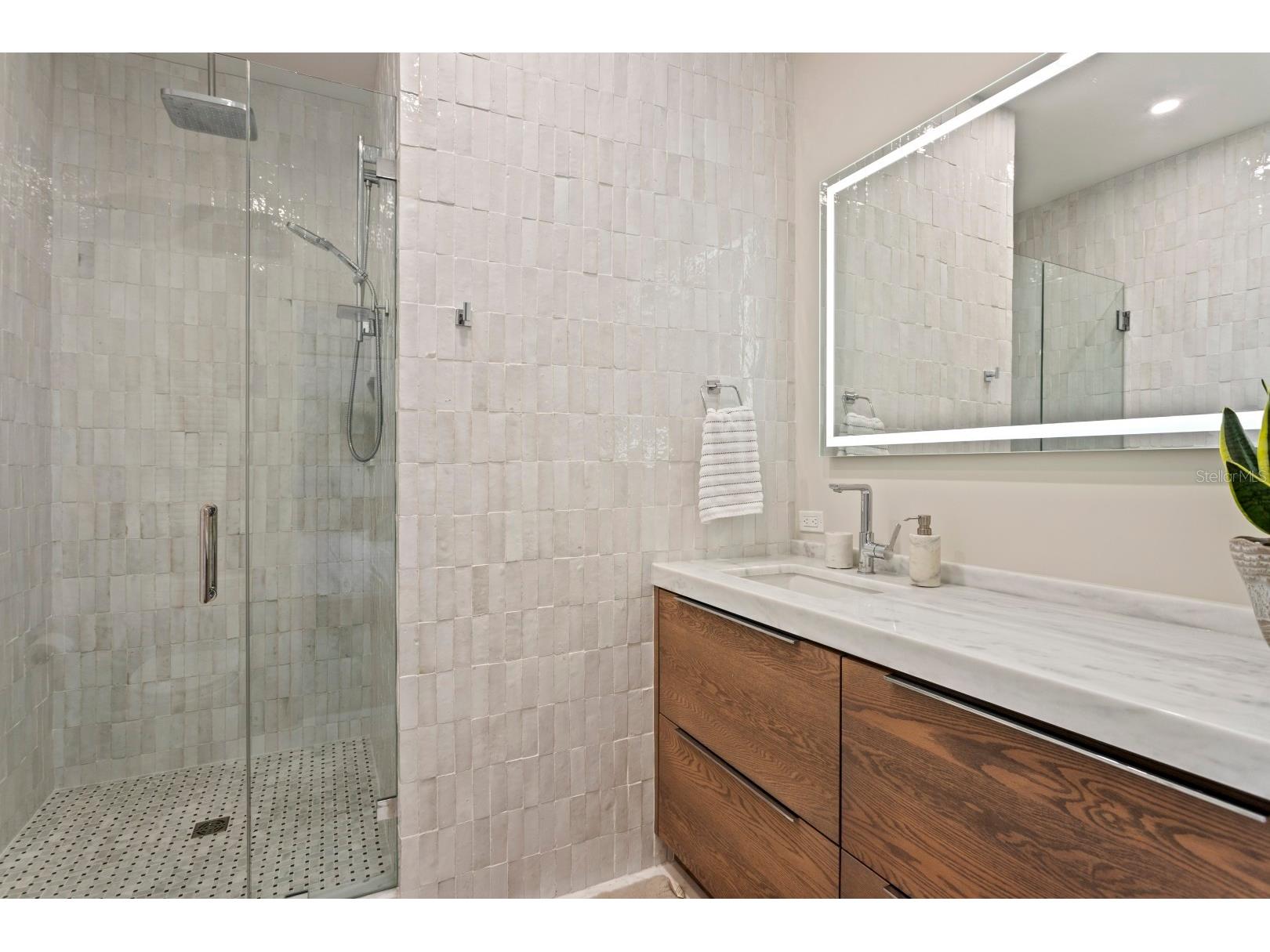 2115 W Watrous Avenue Tampa FL 33606 TB8487882 image36