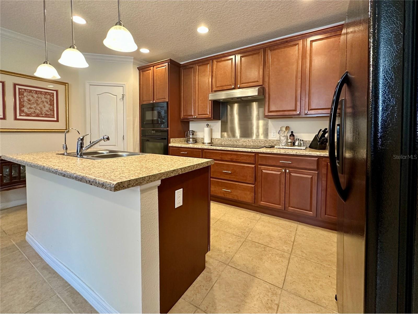 2115 Waseca Lane Leesburg FL 34748 O6380822 image20