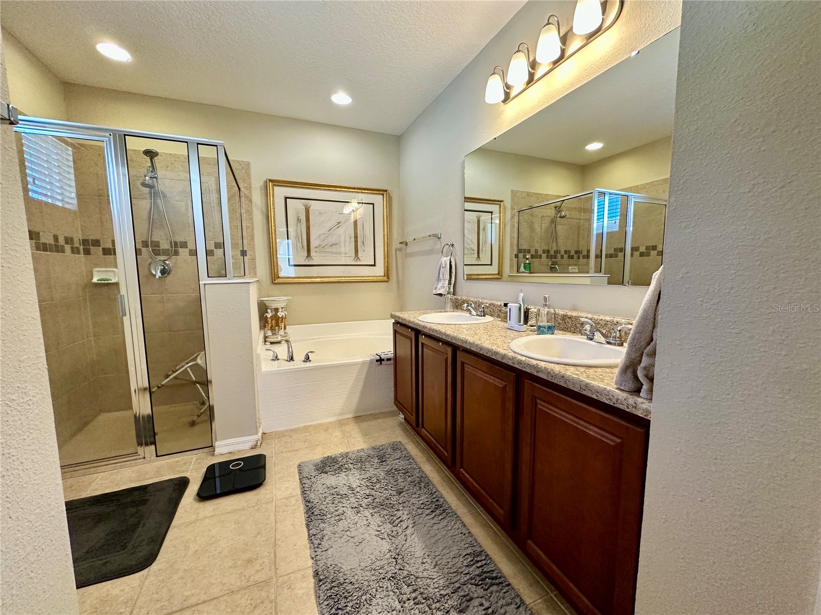 2115 Waseca Lane Leesburg FL 34748 O6406665 image15