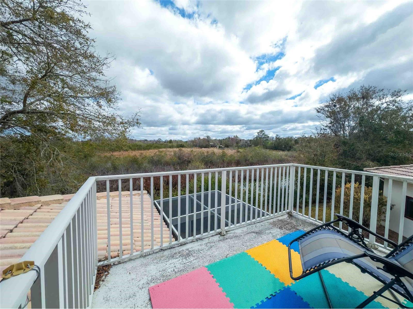 21150 Los Cabos Court Land O Lakes FL 34637 - LAGO CALIENTE TB8479647 image2