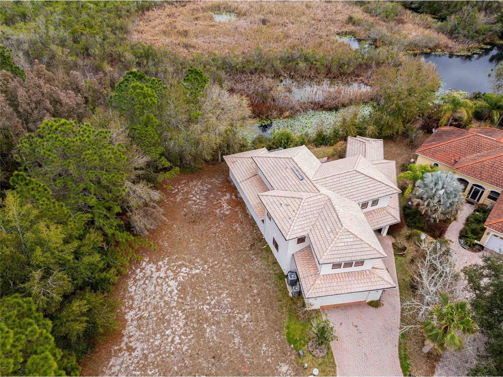 21150 Los Cabos Court Land O Lakes FL 34637 - LAGO CALIENTE TB8479647 image45